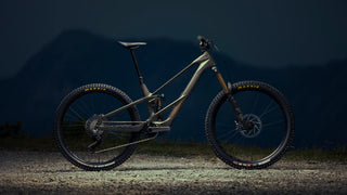 Orbea Wild 2027
