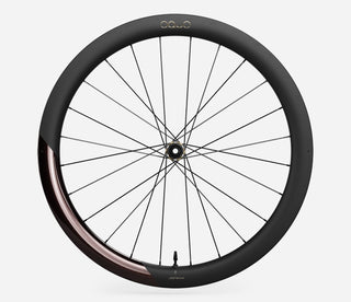Oquo Wheels RP50LTD SHIMANO HG REAR