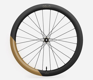 Oquo Wheels RP50LTD SHIMANO HG REAR