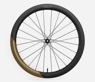 Oquo Wheels RP50LTD SHIMANO HG REAR