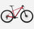 Red - Black