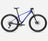 Cobald Blue - Carbon Raw