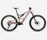 Rose - Carbon