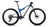 Noctiluca Carbon View - Cobalt Blue (Gloss)
