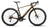 Caramel Carbon View (Gloss)