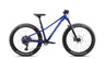 Cobalt Blue